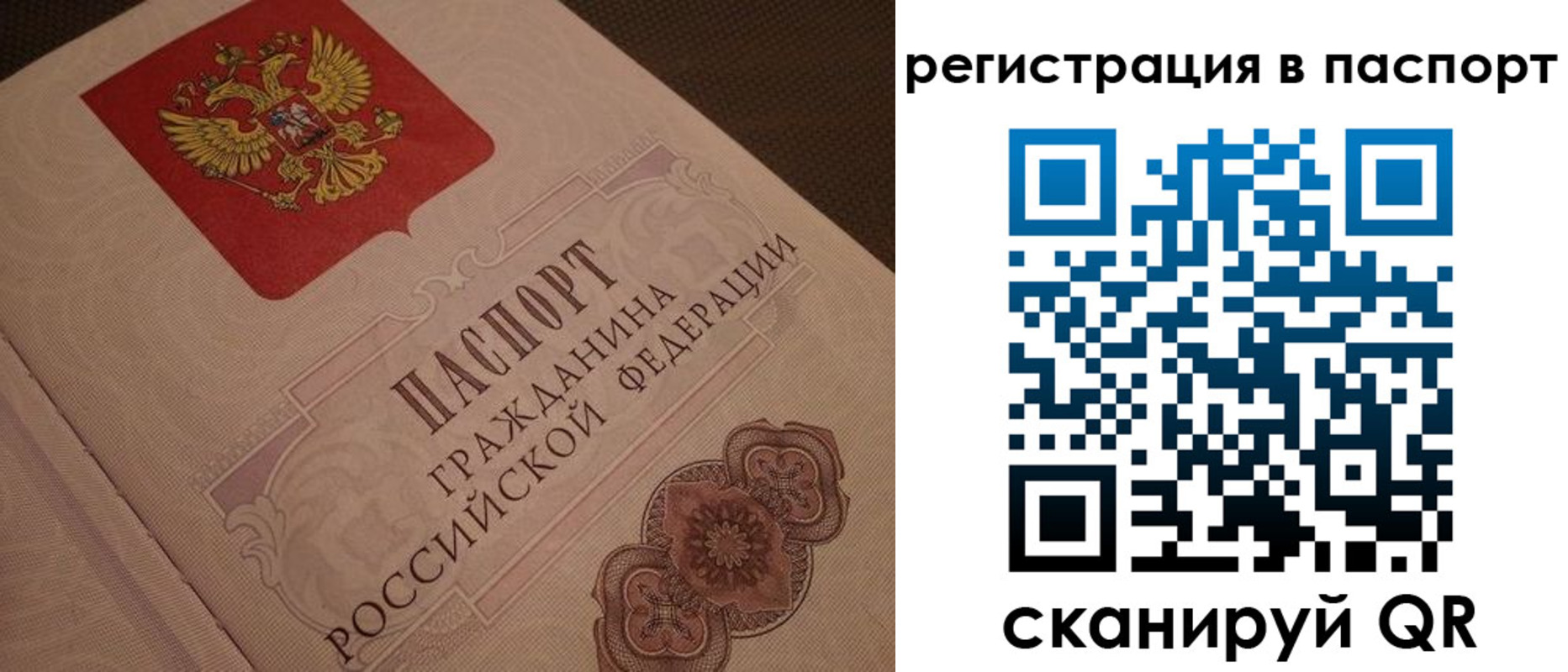 временная регистрация надежно в Змеиногорске